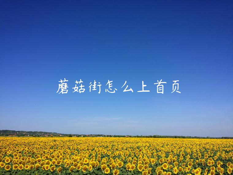 蘑菇街怎么上首頁(yè)